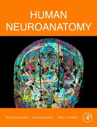 copertina di Human Neuroanatomy