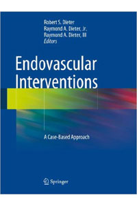 copertina di Endovascular Interventions - A Case - Based Approach