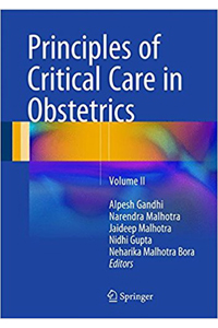 copertina di Principles of Critical Care in Obstetrics