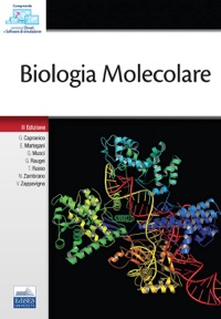 copertina di Biologia Molecolare ( versione digitale e materiale didattico inclusi )
